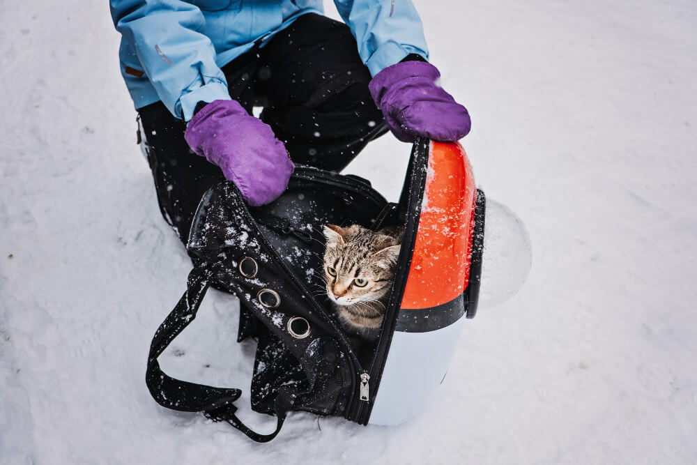 what ski gear do you need for your skiing holiday (don't bring pets)