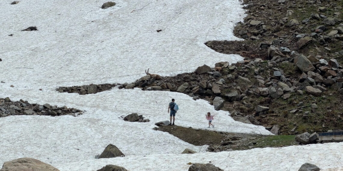 melting ice closes stelvio glacier to skiers in summer 2026