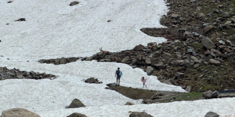 melting ice closes stelvio glacier to skiers in summer 2026